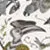 Audubon Roller Blind
