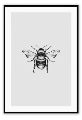 Bee Monochrome
