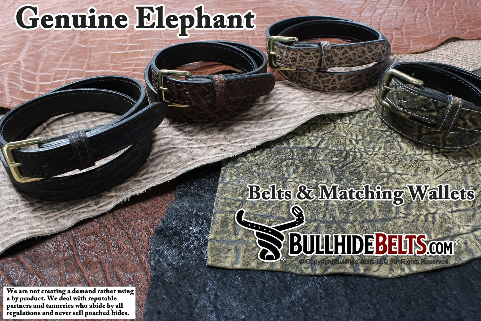 Black Elephant Money Clip Wallet With Credit Card Slots