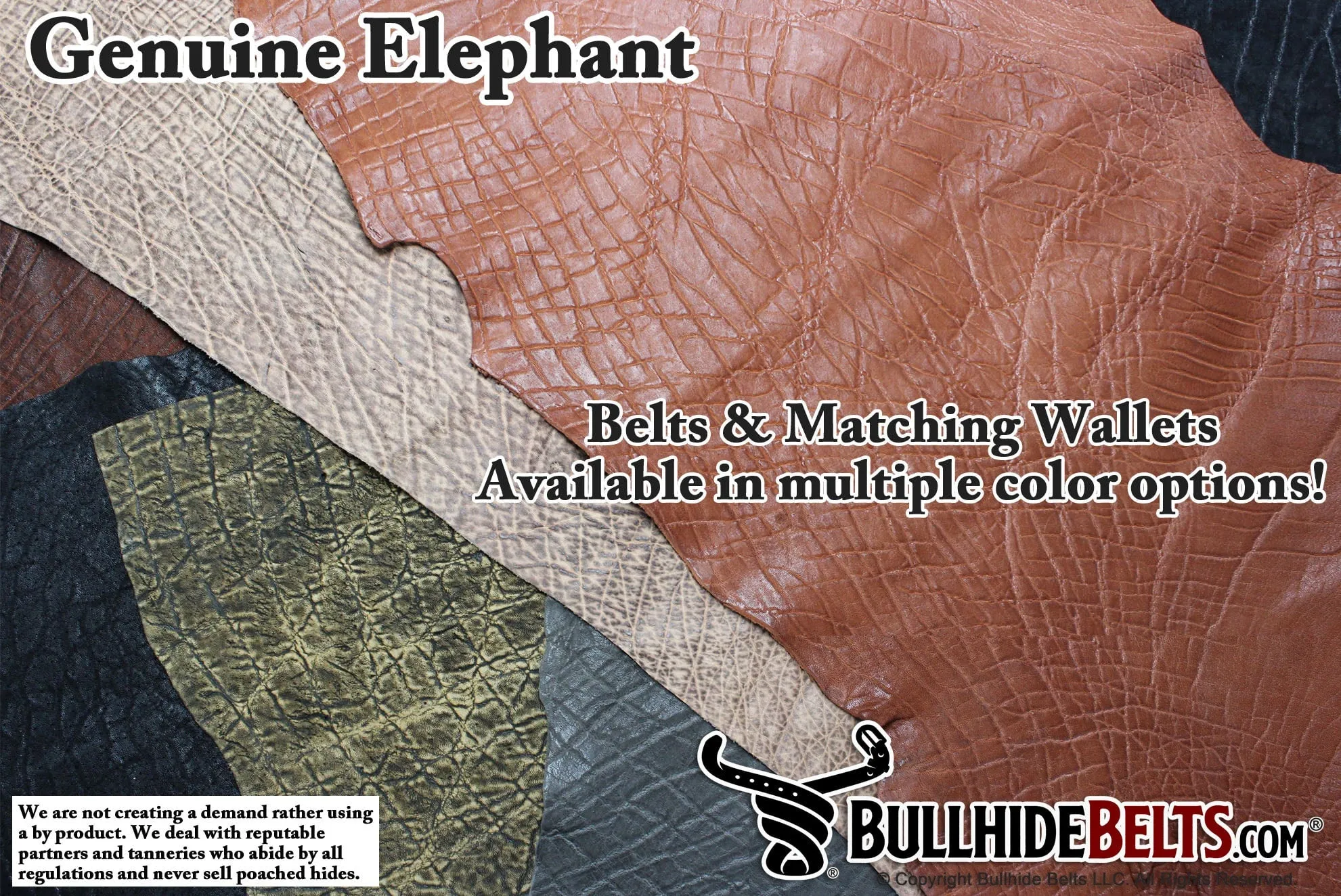 Black Elephant Money Clip Wallet With Credit Card Slots