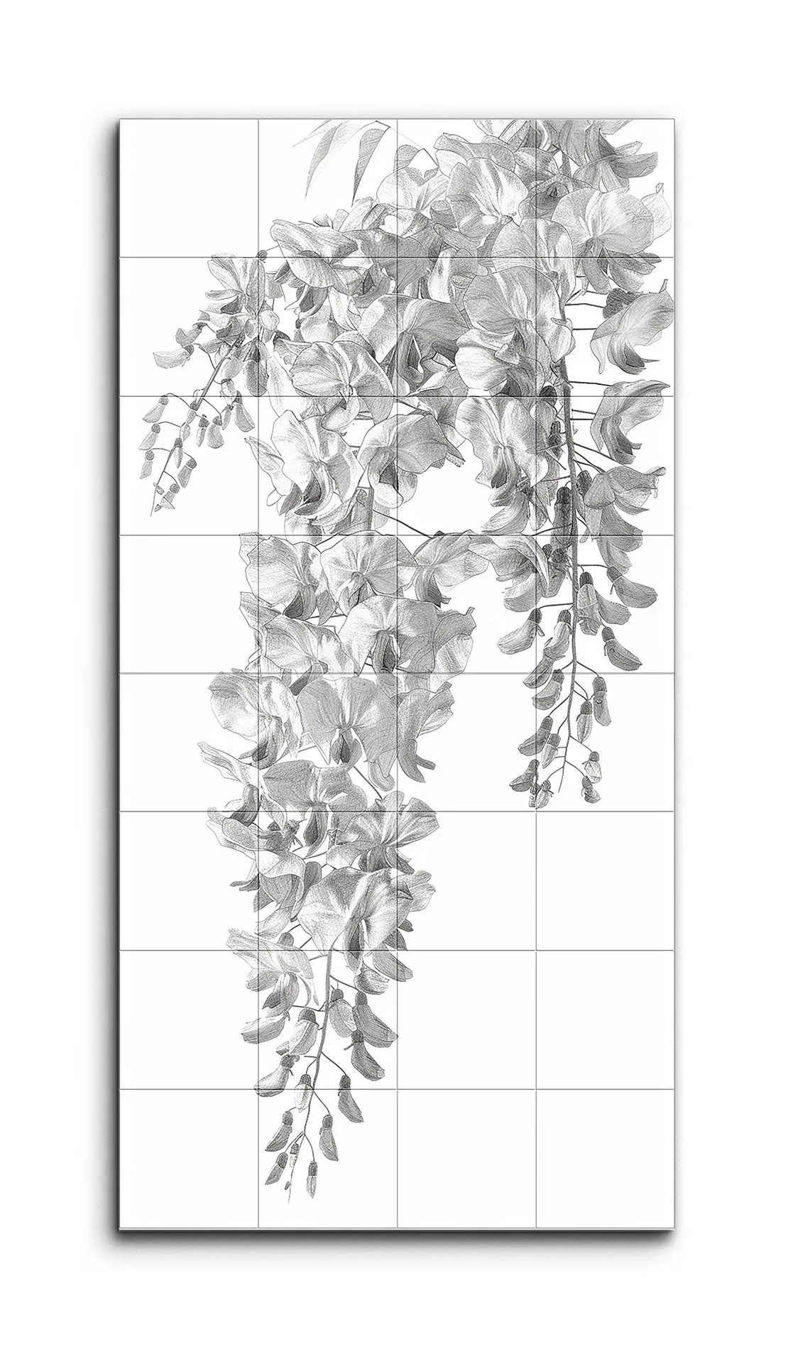 Cascading Wisteria: Monochrome Botanical Art