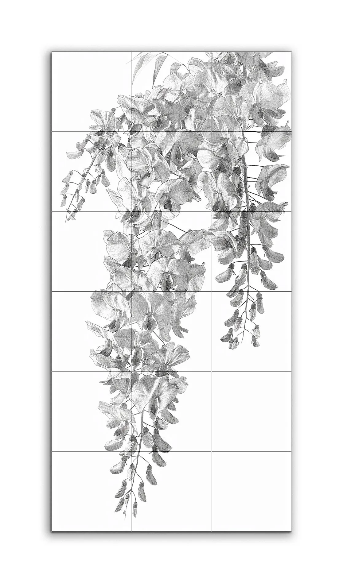 Cascading Wisteria: Monochrome Botanical Art