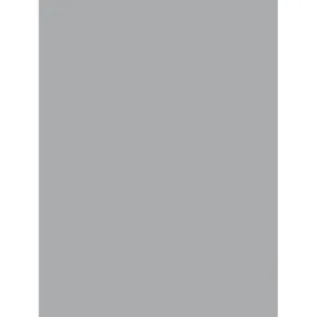 Colorline Paper Sheets 8.5in x 11in 150gsm Pebble Gray