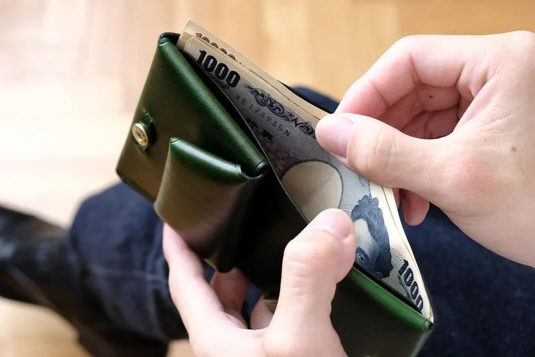 Enfold Mini Wallet