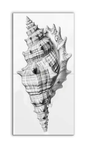 Intricate Seashell Spiral in Monochrome Art