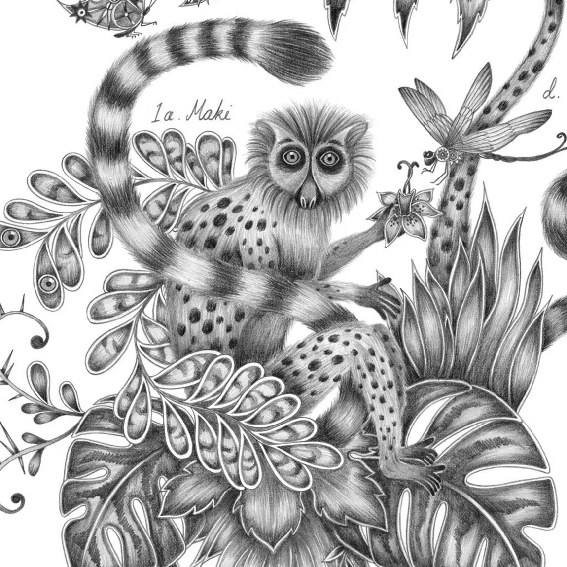 Maki Mococo Fine Art Print