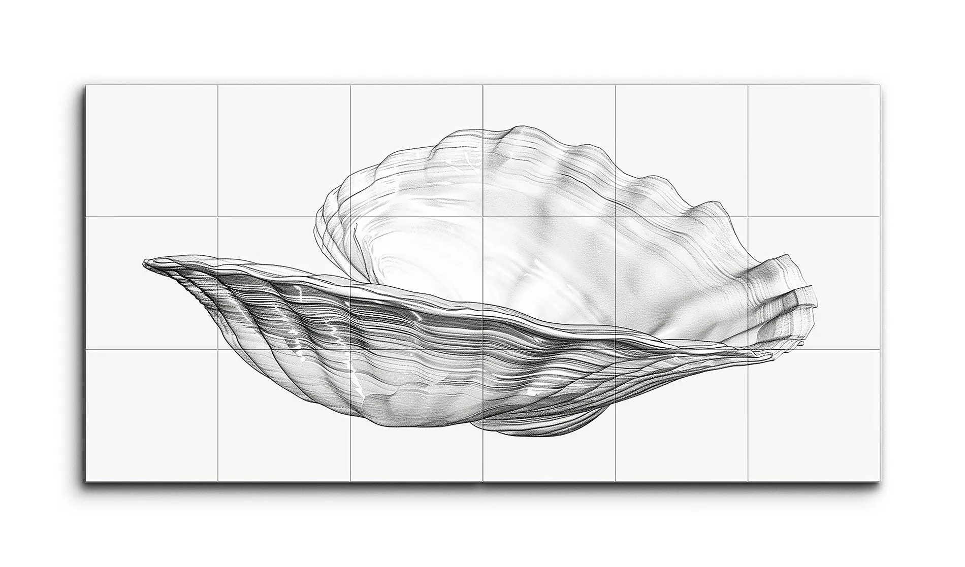 Monochrome Clam Shell: Intricate Line Art