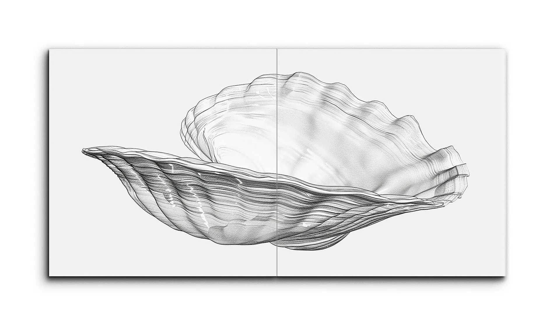 Monochrome Clam Shell: Intricate Line Art