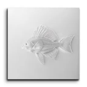 Monochrome Elegance: Minimalist Fish Art