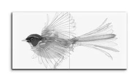 Monochrome Flight: Intricate Bird Blueprint Art