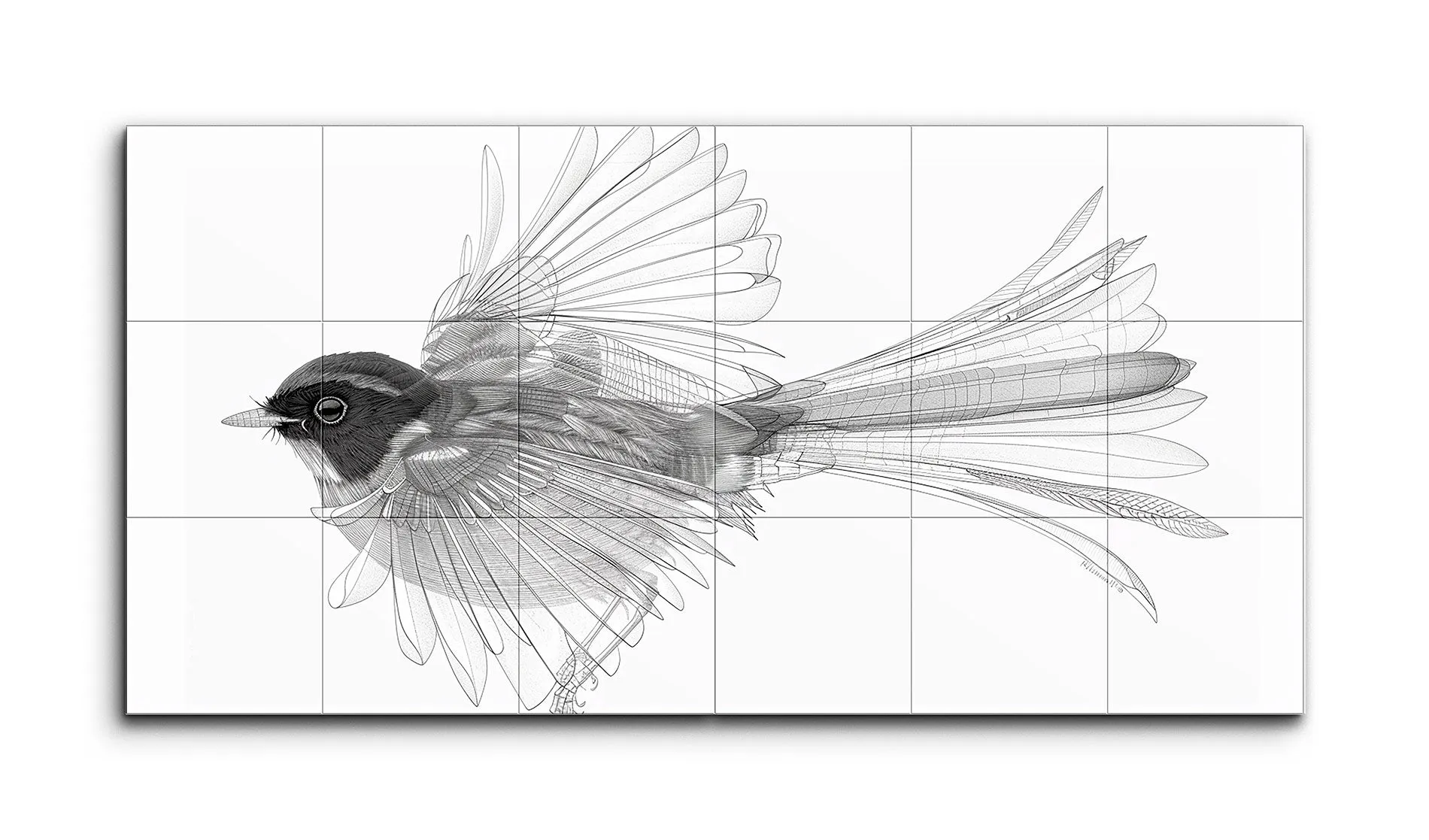 Monochrome Flight: Intricate Bird Blueprint Art