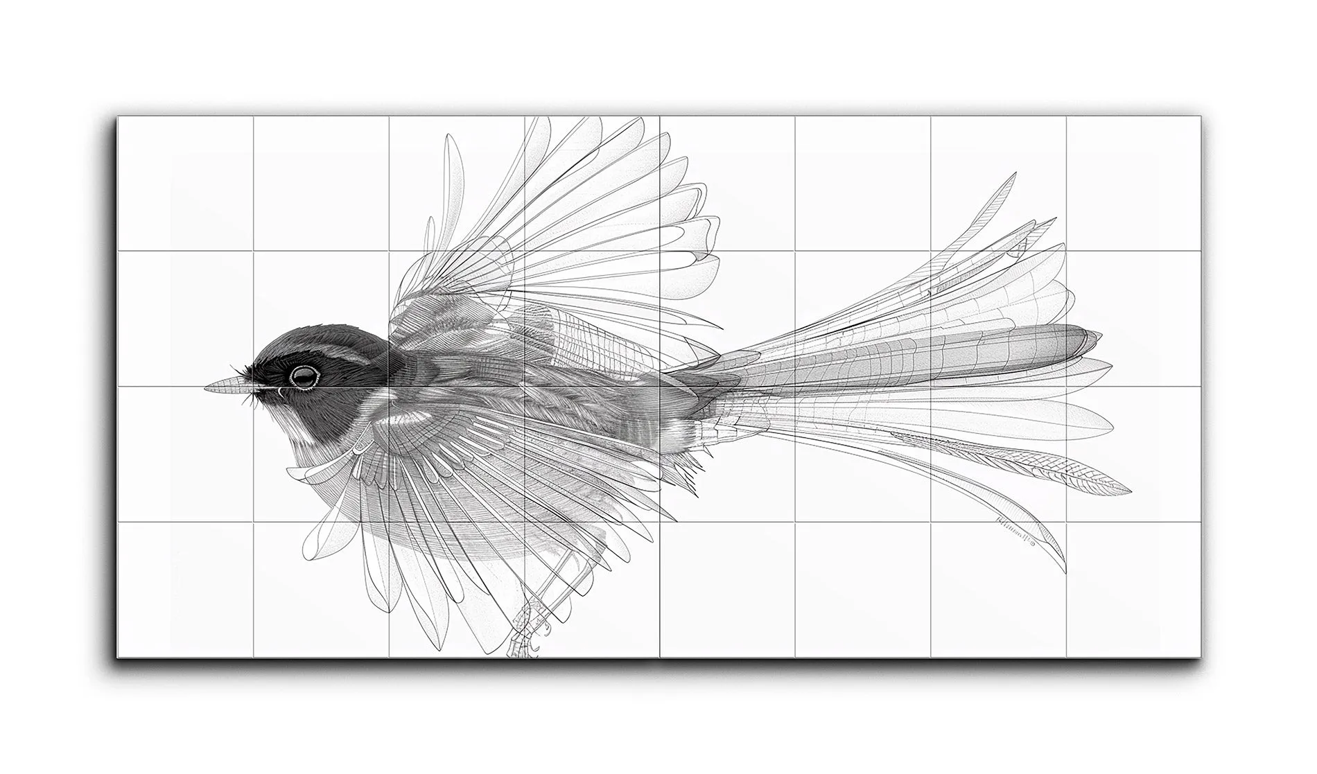 Monochrome Flight: Intricate Bird Blueprint Art