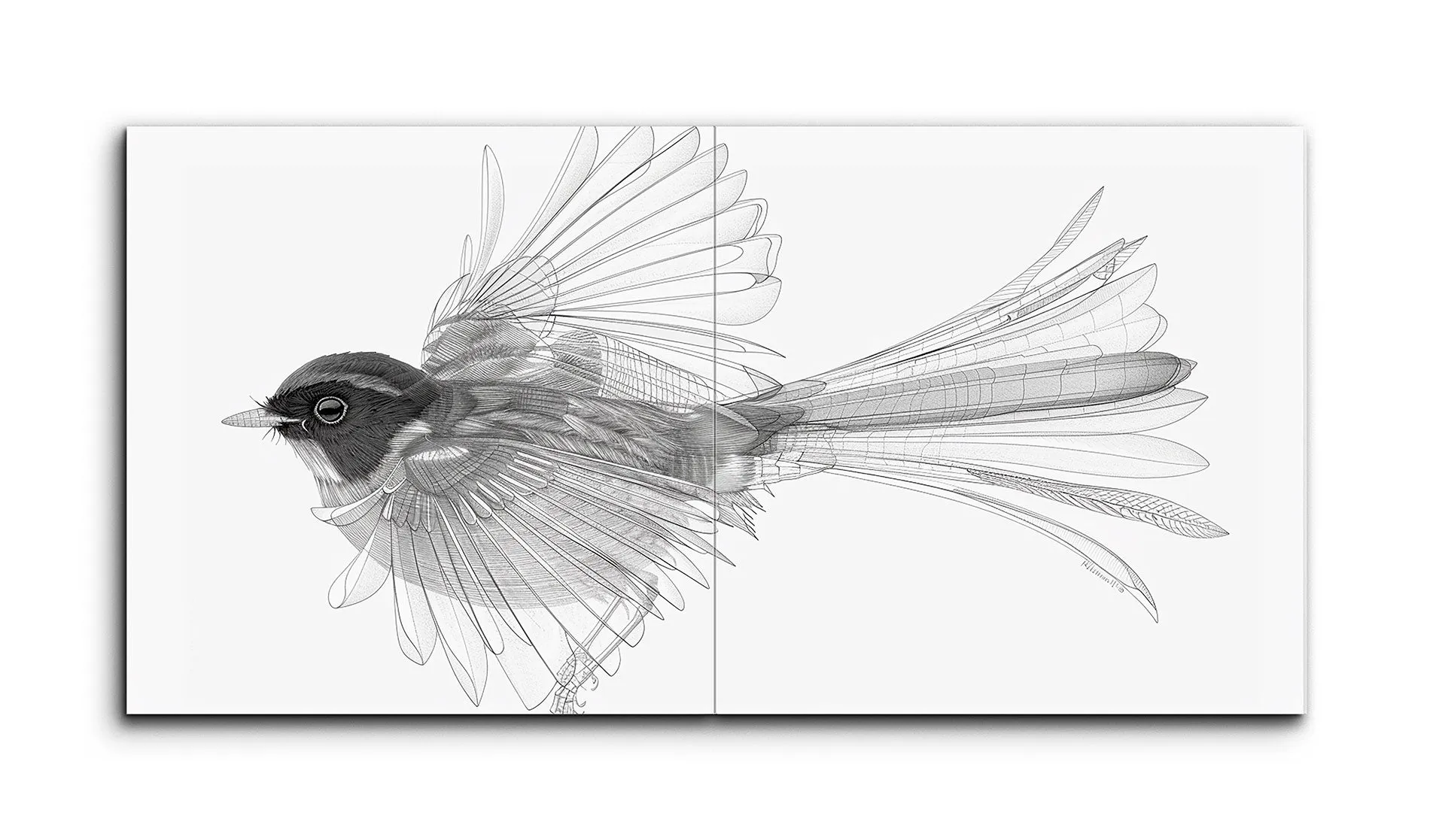 Monochrome Flight: Intricate Bird Blueprint Art