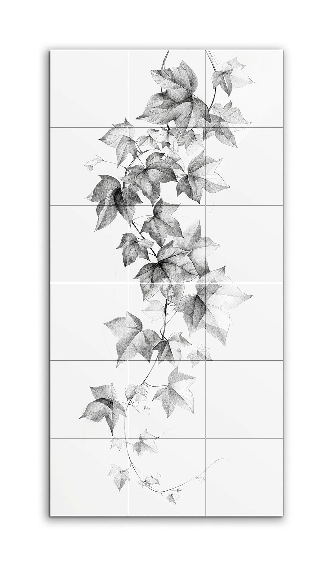 Monochrome Ivy Elegance
