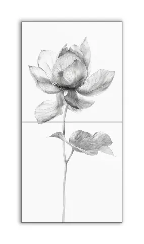 Monochrome Lotus Blossom: Detailed Botanical Art