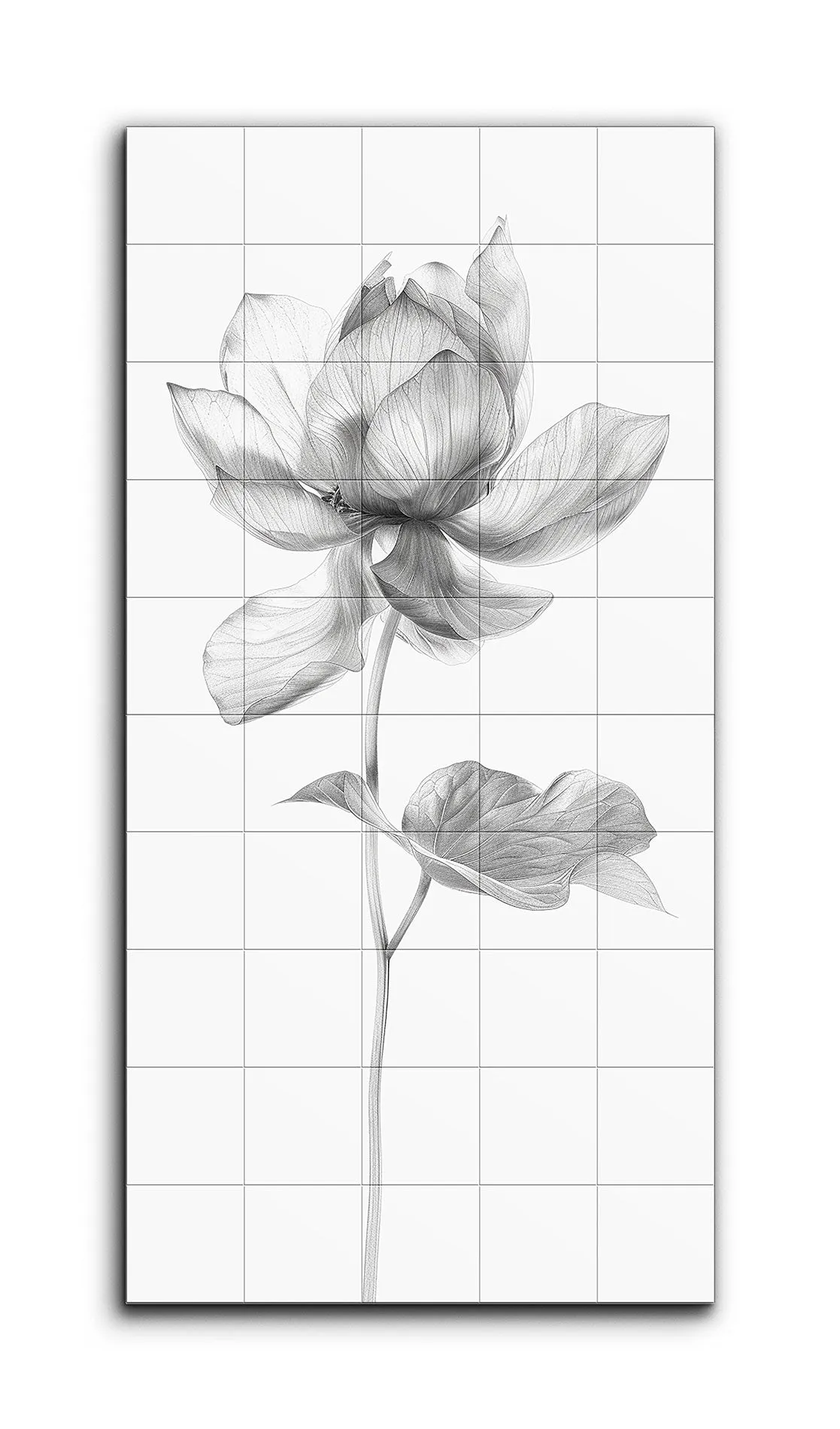 Monochrome Lotus Blossom: Detailed Botanical Art