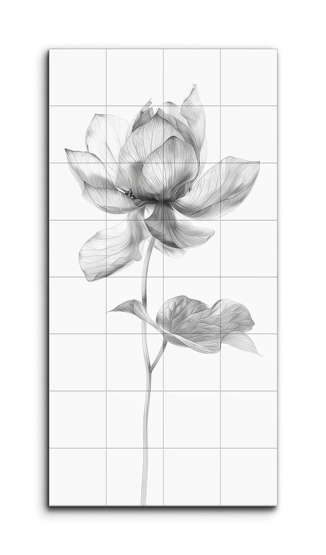 Monochrome Lotus Blossom: Detailed Botanical Art