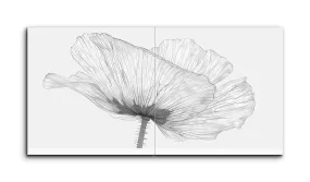 Monochrome Poppy: Detailed Botanical Illustration