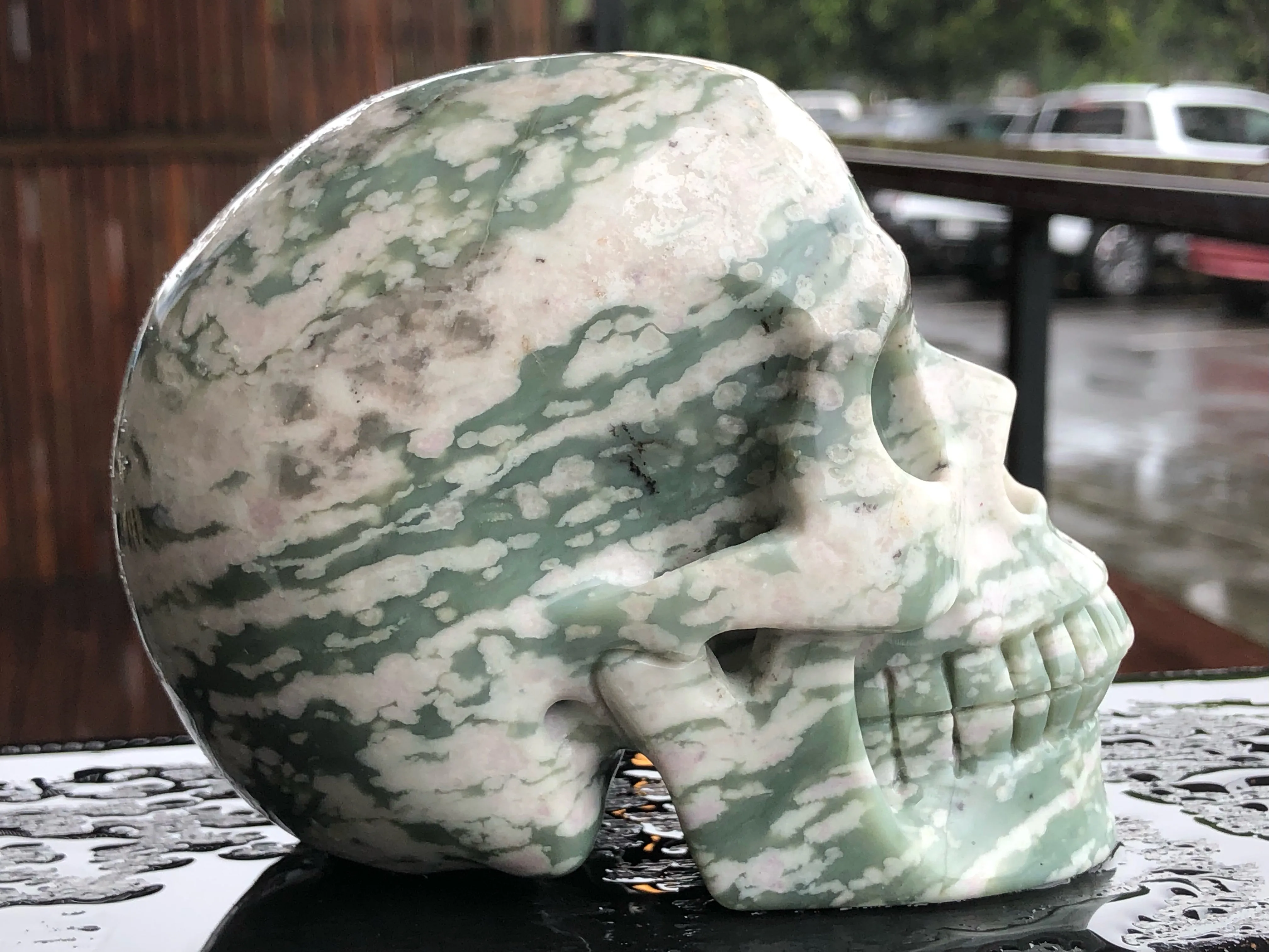 Peace Jasper Skull [1k1157]
