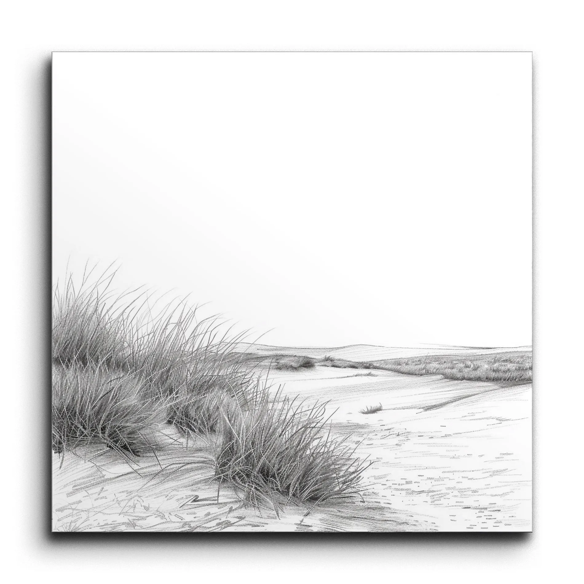 Serene Coastal Landscape in Monochrome