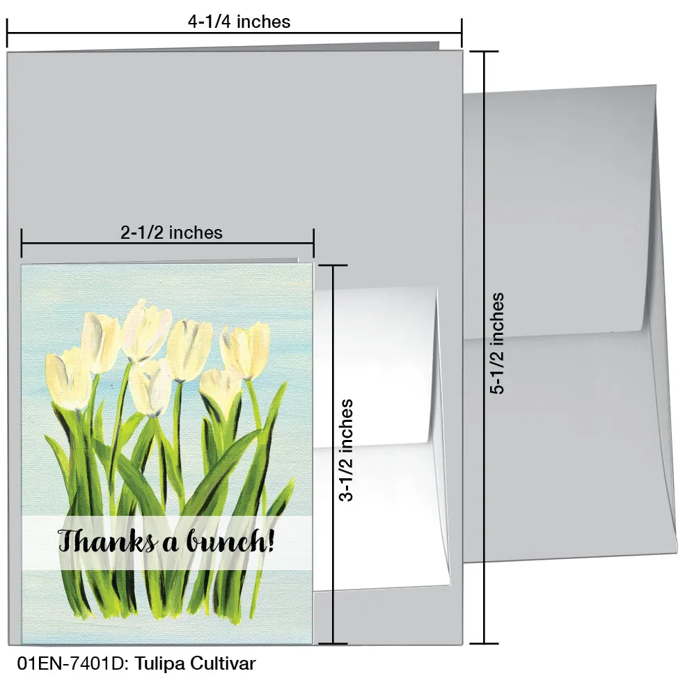 Tulipa Cultivar, Greeting Card (7401D)